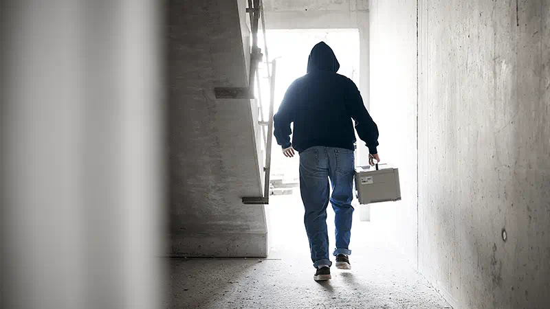 Festool Theft Replacement